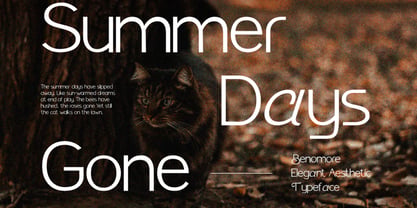 Benomore Font Poster 3