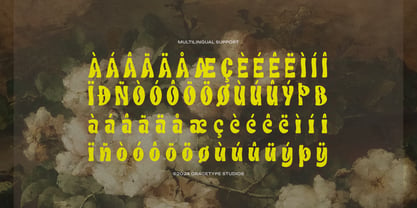 Relumie Font Poster 11