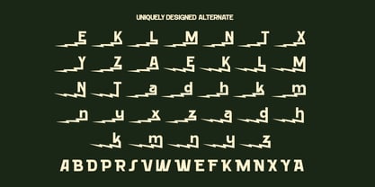 Rotura Vintage Font Poster 5