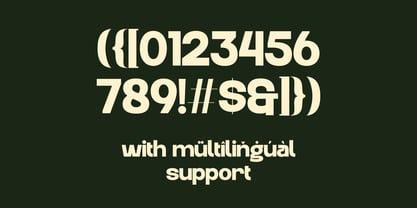 Rotura Vintage Font Poster 6
