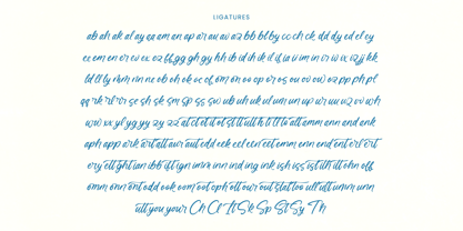 Natural Butter Font Poster 14