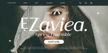 Aturia Font Poster 10