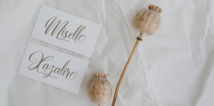 Biframes Font Poster 6