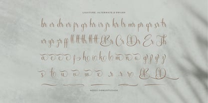 Biframes Font Poster 12