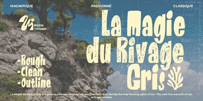 La Magie Du Rivage Gris Font Poster 1