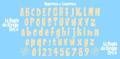 La Magie Du Rivage Gris Font Poster 8