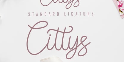 Aslly Lastty Font Poster 2