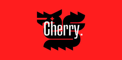 Merca Font Poster 14