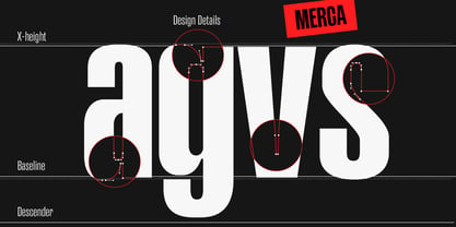 Merca Font Poster 5