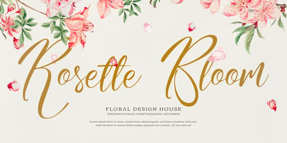 Nomesyl Bridella Font Poster 2
