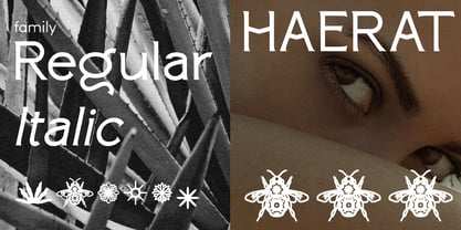 Paterna Font Poster 5