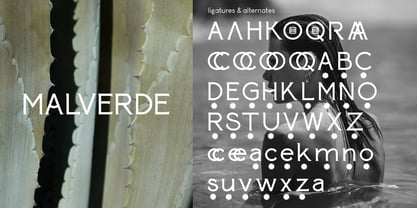 Paterna Font Poster 2