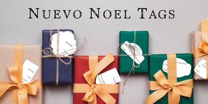 PN Noel Nuevo Font Poster 9