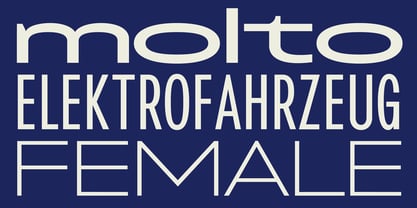 Franzi Font Poster 11