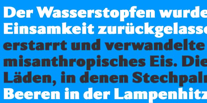 Intrinseca Max Font Poster 5