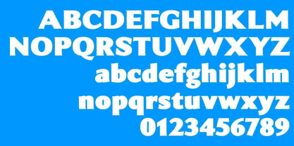 Intrinseca Max Font Poster 2