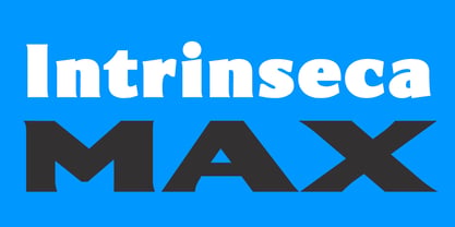 Intrinseca Max Font Poster 1