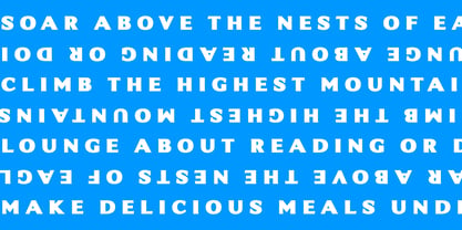 Intrinseca Max Font Poster 4