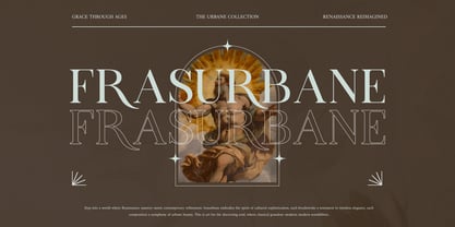 Arceloni Font Poster 10