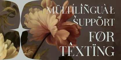 Arceloni Font Poster 8