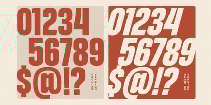 Nanika Font Poster 11