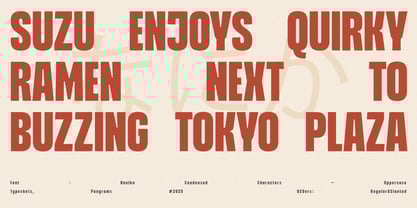 Nanika Font Poster 9