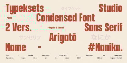 Nanika Font Poster 15