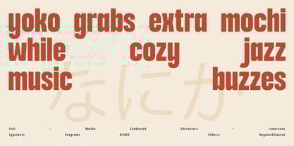 Nanika Font Poster 8