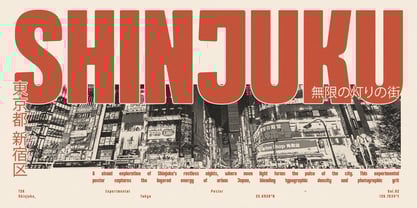 Nanika Font Poster 13