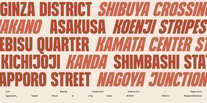 Nanika Font Poster 14