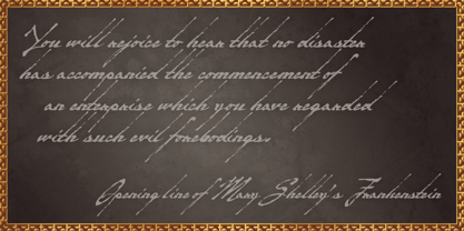 Zidler Font Poster 8