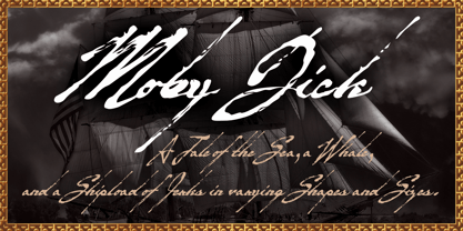 Zidler Font Poster 13