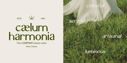 IT Auralithea Font Poster 4