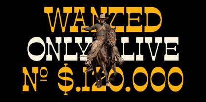 Estripe Font Poster 9