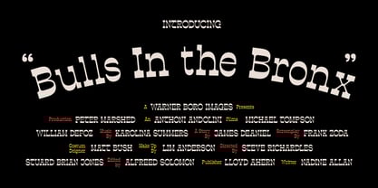 Estripe Font Poster 7