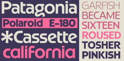 GW Esio Sans Font Poster 5