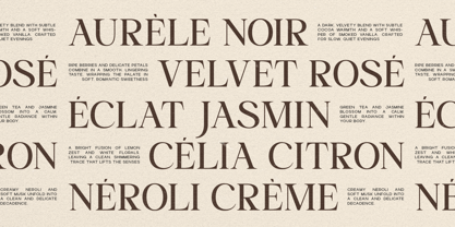 Qaffiso Font Poster 3