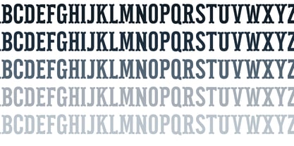 ZP Pettichap Trim Font Poster 6