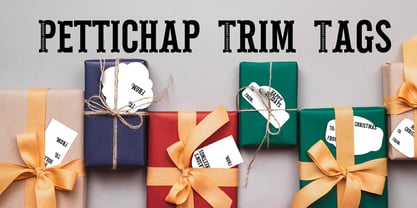 ZP Pettichap Trim Font Poster 8