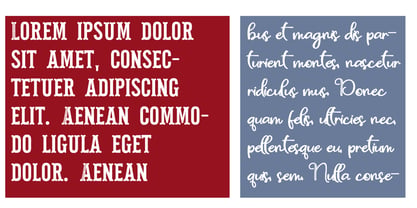 ZP Pettichap Trim Font Poster 3