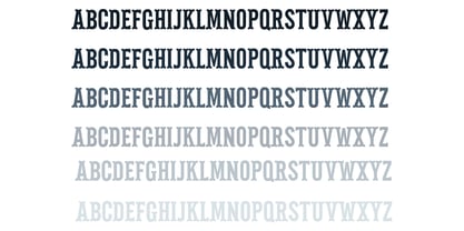 ZP Pettichap Trim Font Poster 5