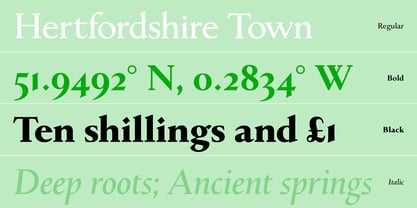 Littleworth Now Variable Font Poster 3