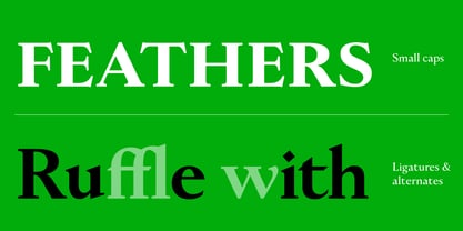 Littleworth Now Variable Font Poster 5