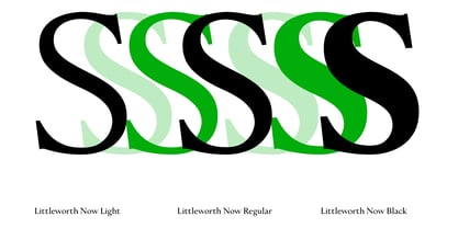 Littleworth Now Variable Font Poster 7