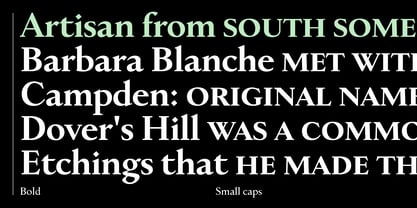 Littleworth Now Variable Font Poster 9