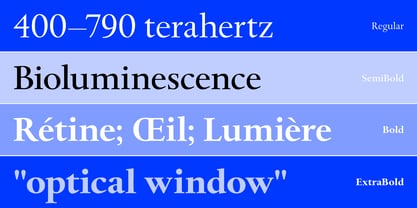 Spectrum Now Variable Font Poster 3