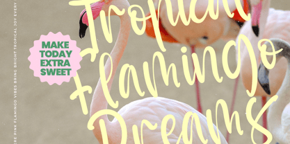 Sunyplay Peachy Font Poster 3