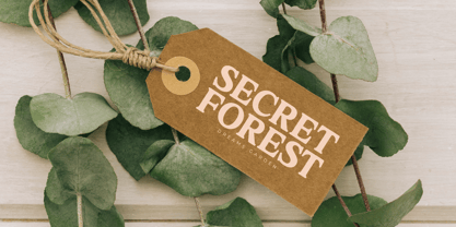 Garden Rostera Font Poster 5