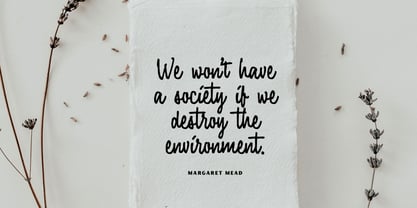 Fairforest Font Poster 14