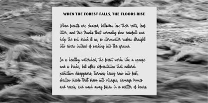 Fairforest Font Poster 4